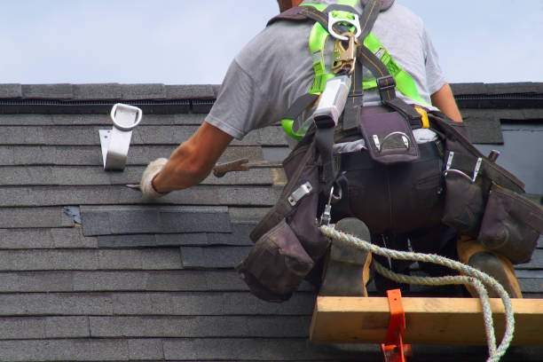 Best Wood Siding Installation  in Crestwood Village, NJ