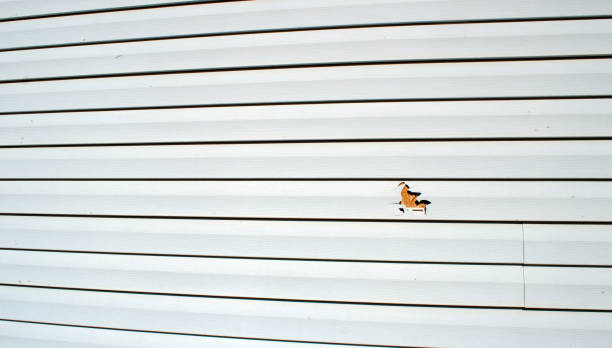 Best Siding Removal and Disposal  in Crestwood Village, NJ